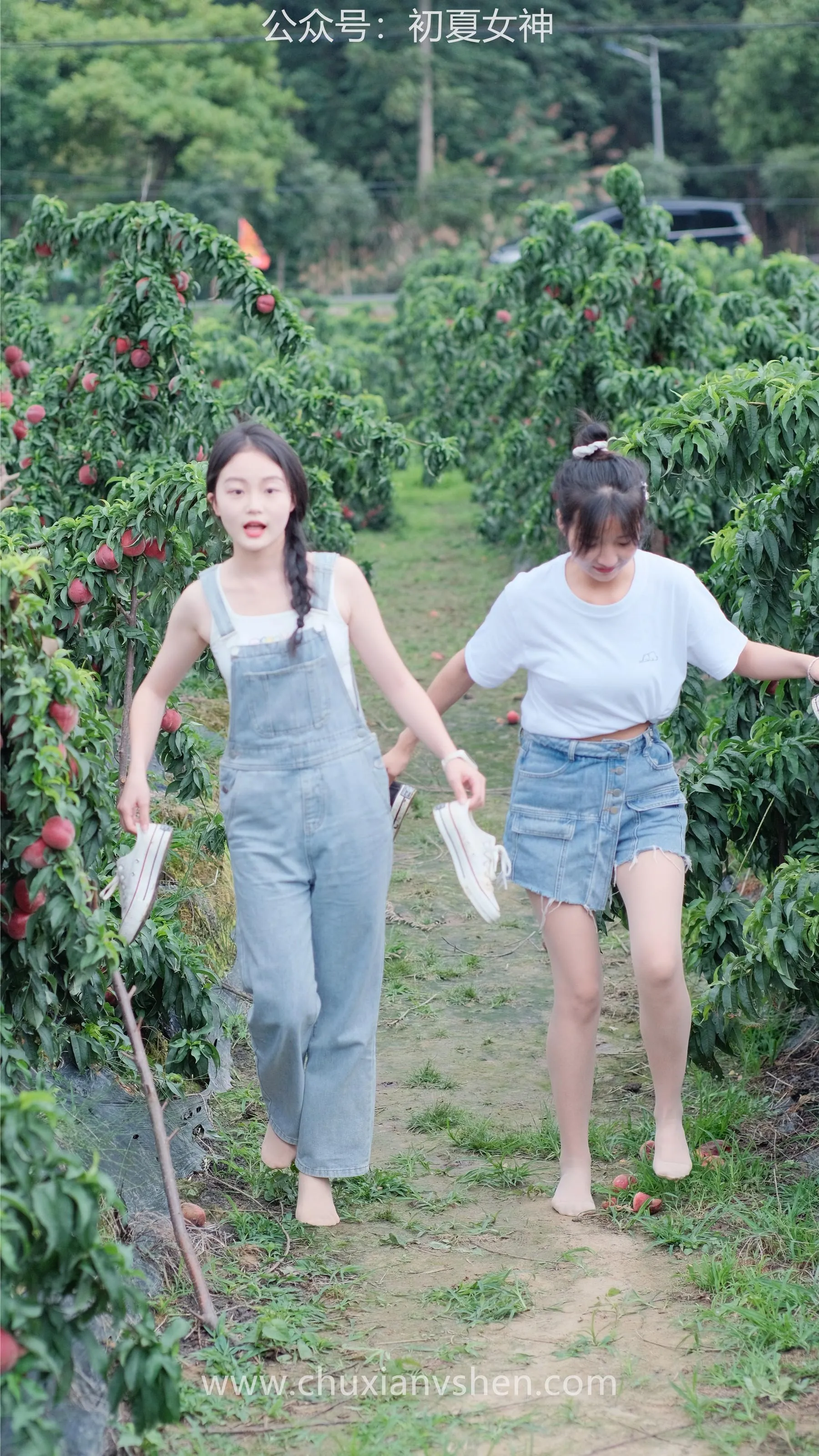 初夏女神 NO.055 双双点点 桃园姐妹 [172P]插图3